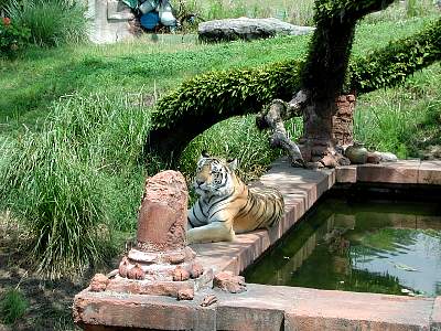 disney_2000_155_Disney2000 WDW Animal Kingdom 1 June-507.JPG